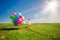 Little girl holding colorful balloons. Child playing on a green