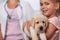 Little girl holding her puppy dog at the veterinary doctor office - closeup
