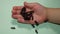 A little girl holding insects mealworms - adult superworm | hand and beetles on white background close up - Stages of the meal wor