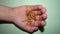 A little girl holding Mealworms, reptile live food, insects. mealworm, larva