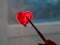 Little girl holds paintbrush in hand drawing red heart on window glass. Valentine`s day love, dating, quarantine leisure