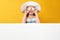 Little girl holds a shell. A child in a summer hat blank white banner space on a yellow background