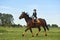 little girl jockey riding a horse across country in professional outfit