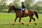 Little girl jockey riding a horse across country in professional outfit