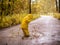 Little girl jumping fun in a dirty puddle