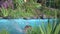 A little girl jumps into a small pond, splashing water from the jump. The child enjoys cool water on a hot summer day