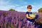 little girl is in a lavender field holds a basket of flowe