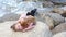 Little girl laying on the rocks with her sweet puppy