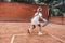 Little Girl learning to hit the tennis ball