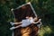 Little girl lies on a blanket among the grass in the park and smiles and looks up