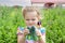 Little girl looks at grown young cucumbers, Unfocused background, the concept of a fruitful summer
