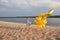 Little girl with many golden balloons on the beach at sunset