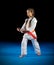 Little girl martial arts fighter