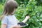 Little girl near a bush currants