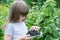 Little girl near a bush currants