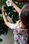A little girl oiling the houseplant leaves, taking care of plant Monstera using a cotton sheet. Home gardening
