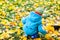 Little girl outdoors on autumn day