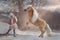 Little girl with palomino miniature horse in winter park
