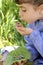 Little girl palying with silkworm in hands