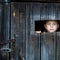 Little girl peeking through a gap in a wooden rustic barn. Child Game.