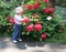 Little girl beside peony shrub