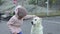 a little girl pets a large white stray dog.