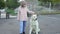 a little girl pets a large white stray dog.