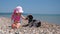 Little Girl Petting her Pet Dog on the Beach