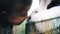 Little girl petting rabbit and laughing