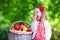 Little girl picking apples in fruit orchard