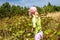 Little girl picking fresh wild raspberries in field in Denmark - Europe