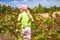 Little girl picking fresh wild raspberries in field in Denmark - Europe