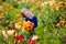 Little girl picking lilly flowers