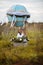 A little girl in a pilot`s hat sits in a basket of a toy balloon in a field.