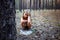 Little girl in the pine forest near the plastic bottle.