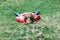 Little girl in pink jacket lying on grass, looking to camera