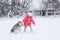 Little girl in a pink jacket playing with a Siberian husky breed dog in the winter in the snow