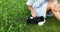 A little girl play with Black Guinea pig sitting outdoors in summer