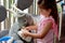 Little girl play pretend to be animal doctor - Veterinary physic