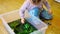 Little girl playing in handmade swamp of green-dyed chia seeds with insect, fish and plant models. Sensory development