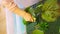 Little girl playing in handmade swamp of green-dyed chia seeds with insect, fish and plant models. Sensory development