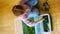 Little girl playing in handmade swamp of green-dyed chia seeds with insect, fish and plant models. Sensory development