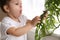 Little girl playing with houseplant