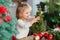 Little girl playing in kitchen with Christmas tree and New Years decor