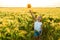 Little girl playing on the meadow on sun with windmill on wheat field