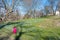 Little girl playing in a sea of flowering Squill