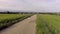 Little girl is playing a toy on the road between the green fields.