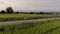 Little girl is playing a toy on the road between the green fields.