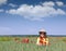 little girl with poppies flower on meadow