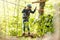 Little girl preschooler wearing full climbing harness having fun time in the rope park using carabiner and other safety